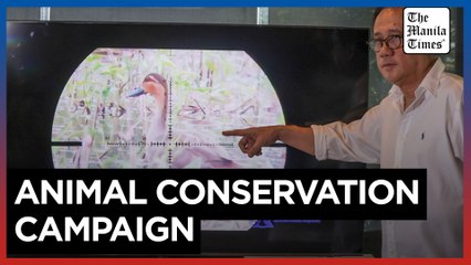 Game hunters warned against endangering PH duck species