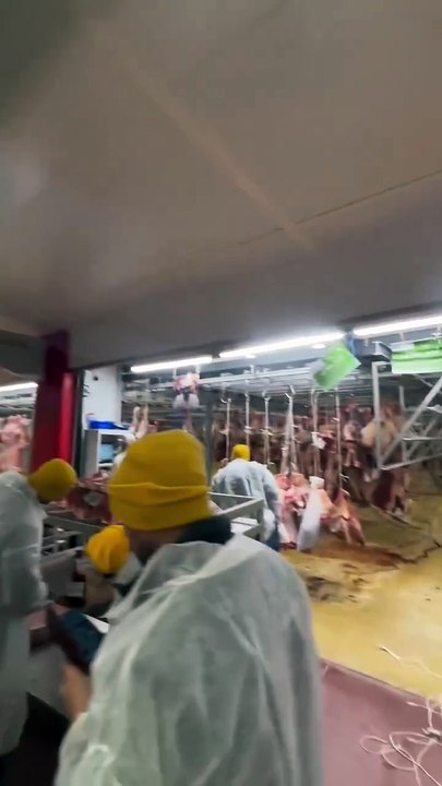 Mercosur: Quelques agriculteurs du syndicat agricole Coordination rurale sont entrés ce matin dans le pavillon de la viande du marché de gros de Rungis en marge d’une manifestation - VIDEO