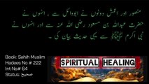 Saheeh Muslim Chapter 1, Episode 16, Emaan Ka Bayan, Hadees No: 220 To 250.