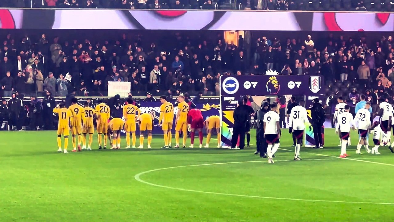 A view from the Pressbox: Brighton and Hove Albion lose away to Fulham