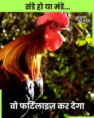 संडे हो या मंडे  आचार्य प्रशांत