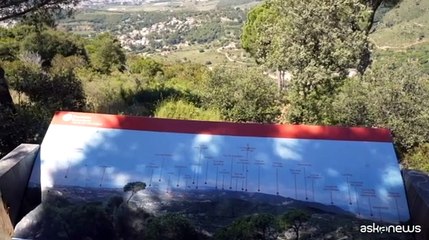 Diritti e biodiversit?, costituzionalisti e istituzioni in dialogo