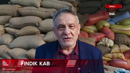 Karadeniz'de odun yerine kullanılan fındık kabuğu fiyatları düştü
