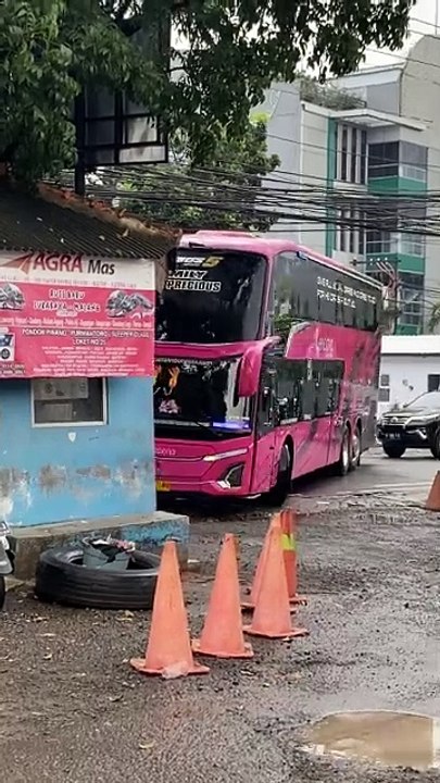Bus karina