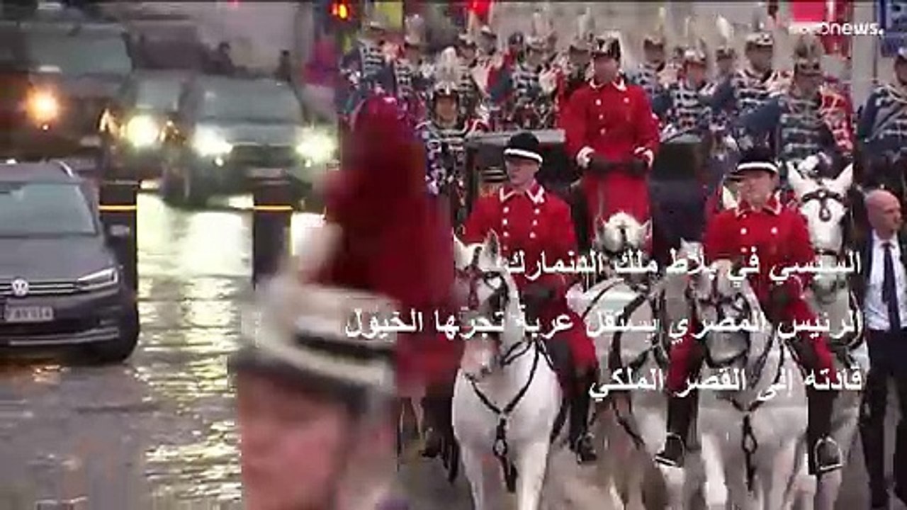 فيديو: "هيلمان" استقبال السيسي في الدنمارك وملف الهجرة واللاجئين والأمن على بساط البحث
