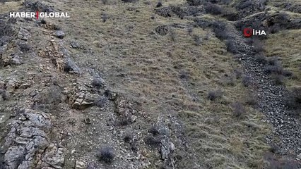 Elazığ'da gündüz vakti şoke eden görüntü! Görüntülendiklerini anlayınca hızlıca kaçtılar