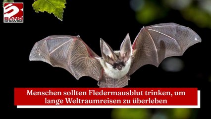 Menschen sollten Fledermausblut trinken, um lange Weltraumreisen zu überleben