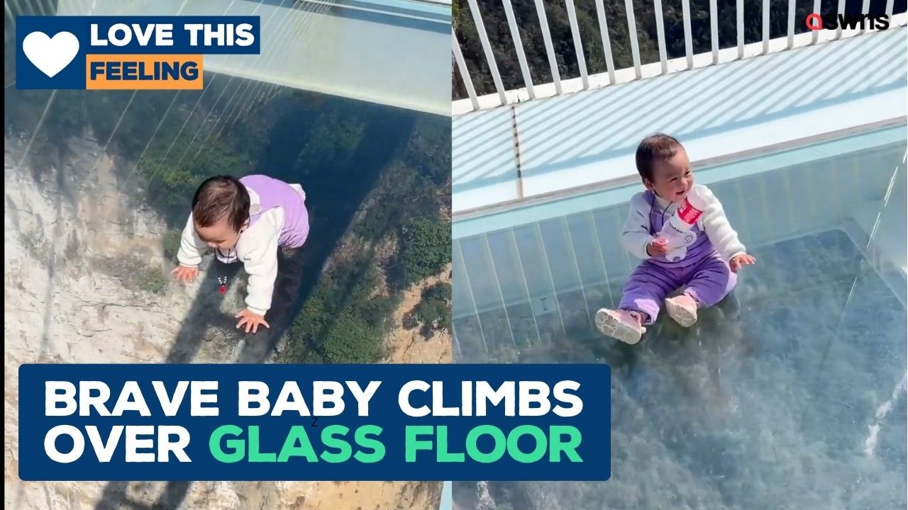 This baby is braver than most of us 🤯