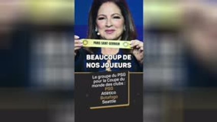 Botafogo - Textor : "Nous voulions le PSG"