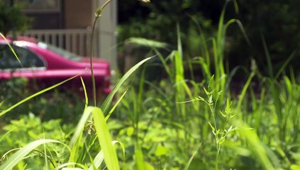 After the First 48 S10E04: Chilling Murder on Maiden Lane 🕵️‍♀️