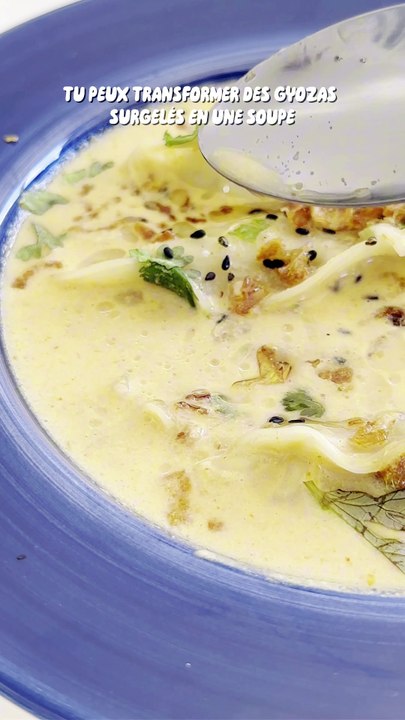 🥟 SOUPE DE GYOZAS 🥟