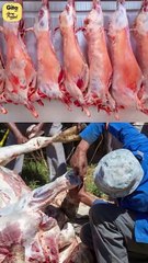 Leather Industry || Acharya Prashant