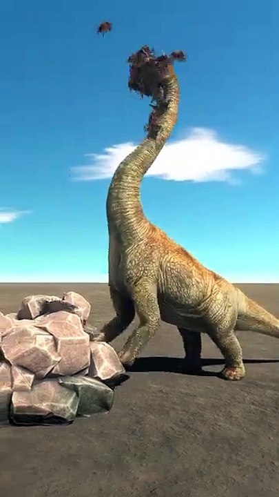 Water Buffalo vs Buffalo 3D Animation animal fighting Game Fun games TV #Gaming