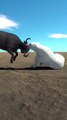 Level 5 Water Buffalo vs Buffalo 3D Animation animal fighting Game Fun games TV #Gaming