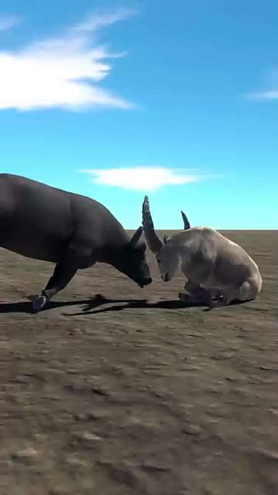 Dungeons Level 7 Water Buffalo vs Buffalo 3D Animation animal fighting Game Fun games TV #Gaming