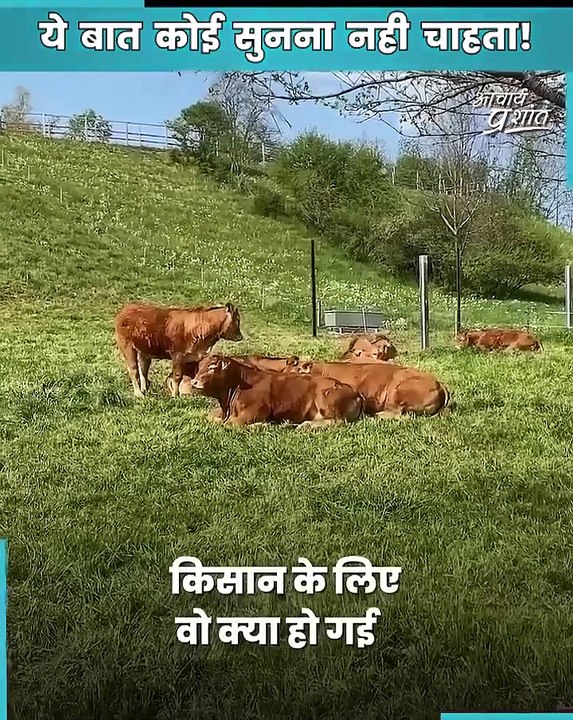 ये बात कोई सुनना नहीं चाहता || आचार्य प्रशांत