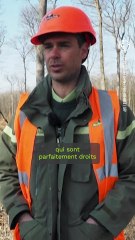 Les coulisses de la reconstruction de Notre-Dame de Paris