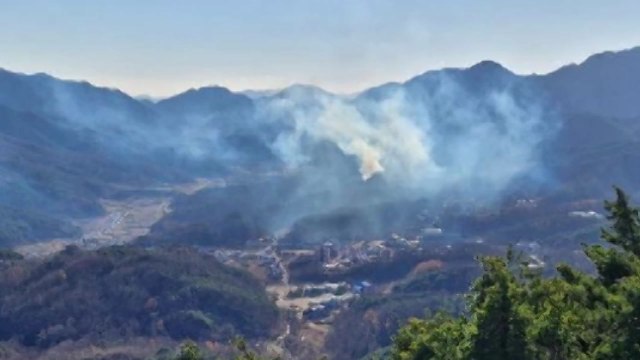 경북 울진 야산에서 불...40여 분 만에 꺼져 / YTN