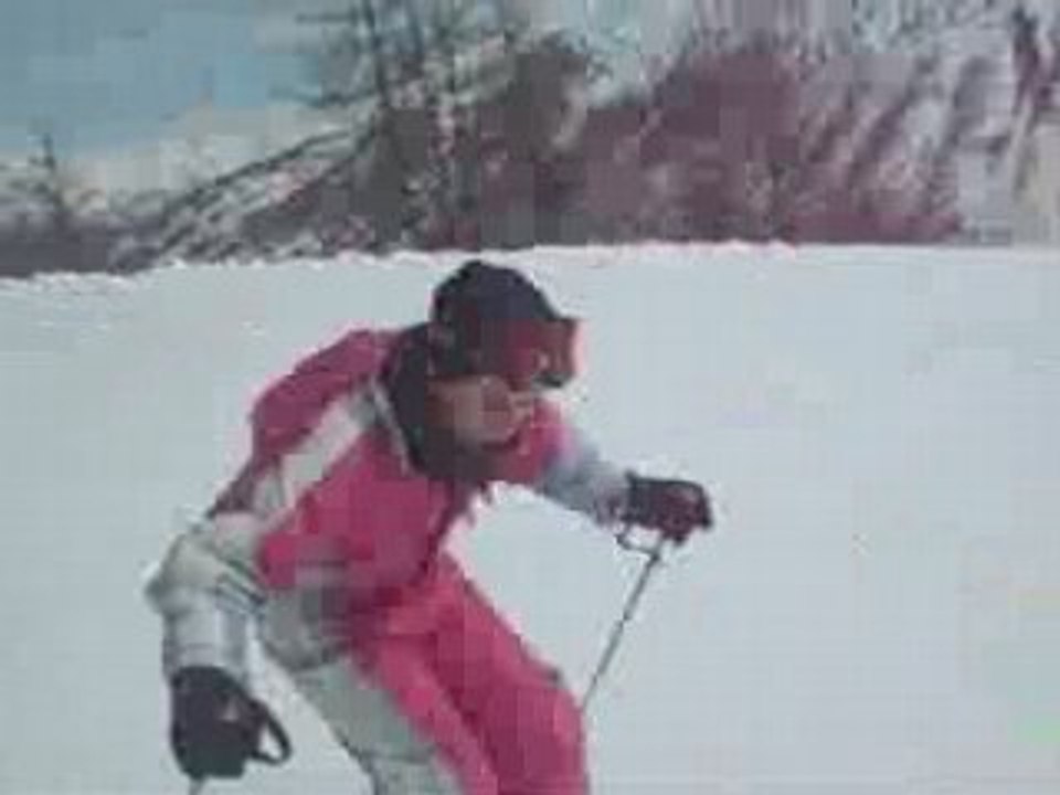 Colonie 2008