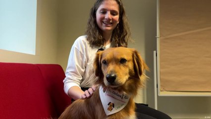 كلب لطيف مدرَّب على تهدئة توتر طلاب جامعات ألمانية