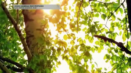 AINDA UM MISTÉRIO - T01E01 - INVESTIGAÇÃO DISCOVERY