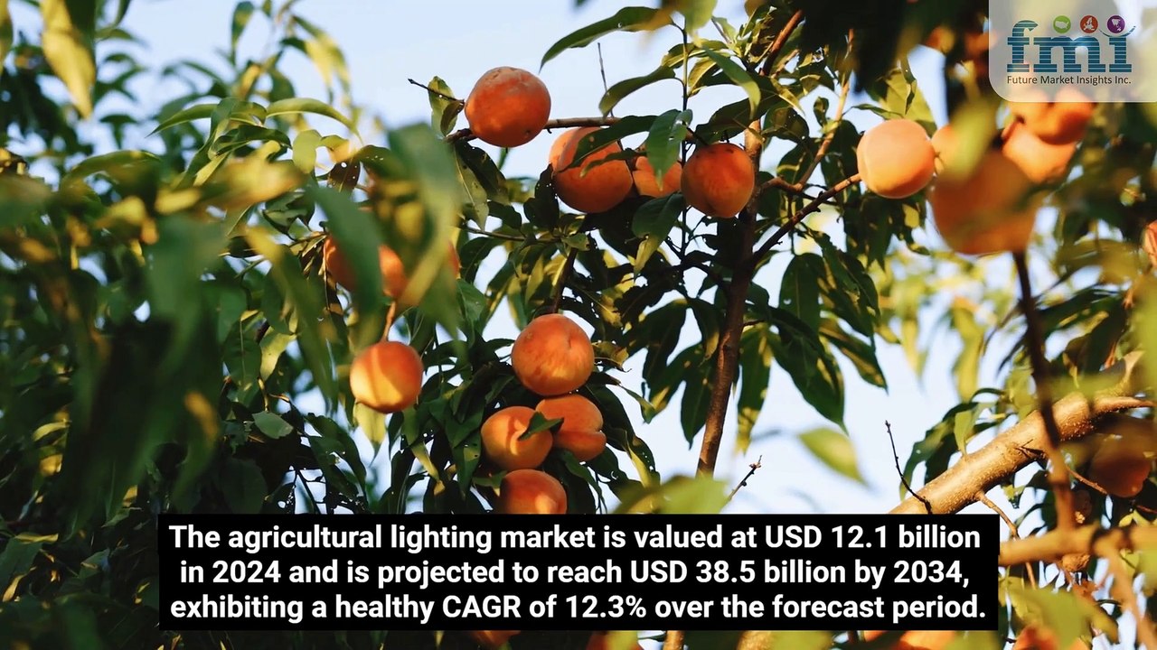 Agricultural Lighting Market Share, Trends & Forecast by 2034 | FMI