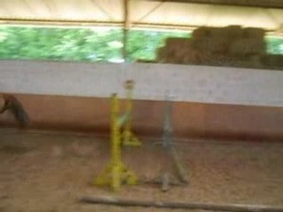 obstacle liberté numba avril 2008