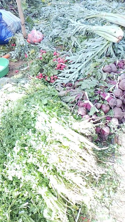 أسواق المغرب السوق الأسبوعي ناحية الحاجب