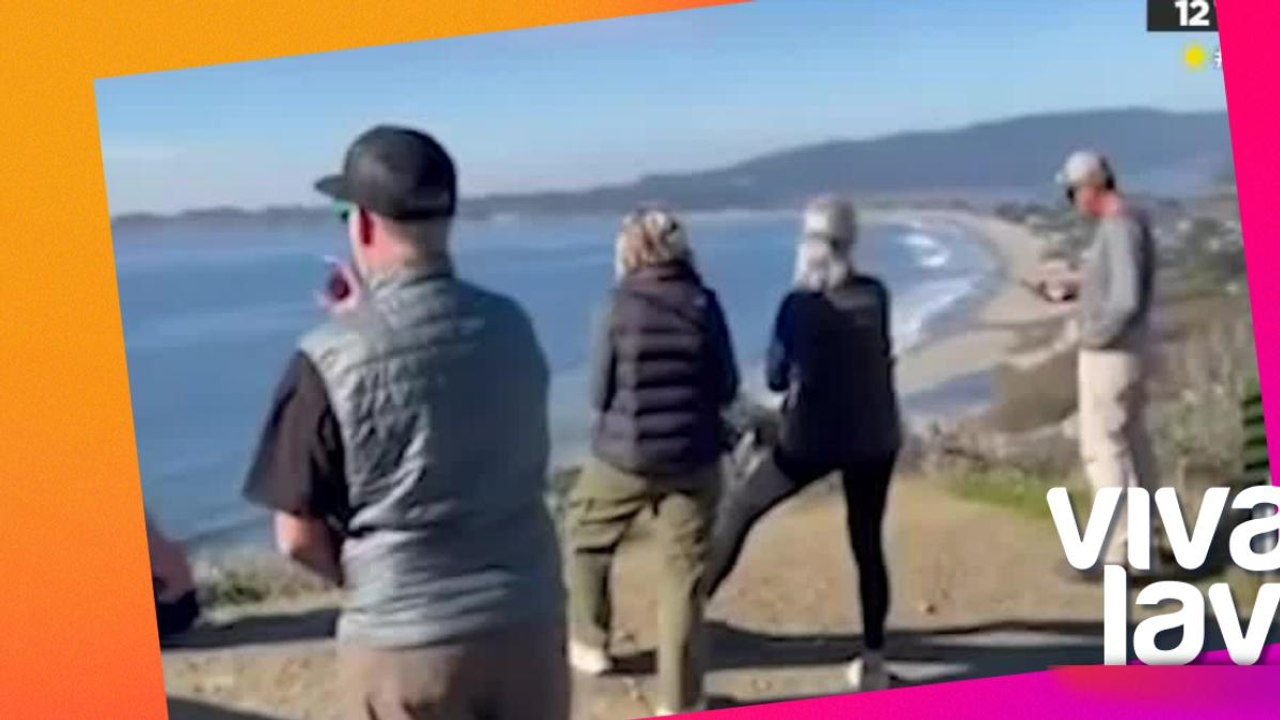 Fuerte terremoto sacude California