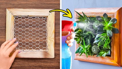 Planting Techniques for an Indoor Garden: Stunning Succulents for a Cozy Space