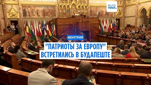 Патриоты за Европу требуют пересмотреть Пакт о миграции