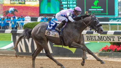 Exploring the Grade Two Remson at Aqueduct Race Seven