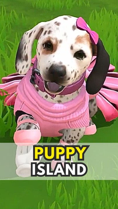 PUPPY ISLAND ⭐ : Le nouveau Nintendogz