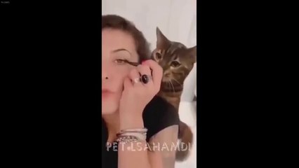 "You Laugh You Lose: Funniest Dogs & Cats 2025 - Hilarious Animal Moments!"