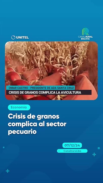 Crisis de granos complica al sector pecuario