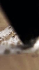 Exciting First Look: Season 5 Official Teaser (2026) 🎬