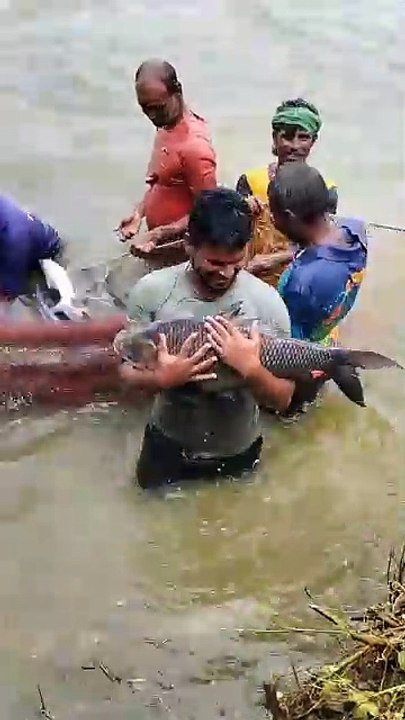 ,,,,,,,,,Man catch a big fish,,,,,,,,,