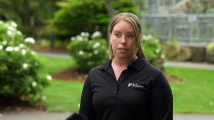 Launceston to vote whether to sterilise iconic monkeys living in city park