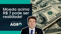 Até onde vai o dólar? | HORA H DO AGRO