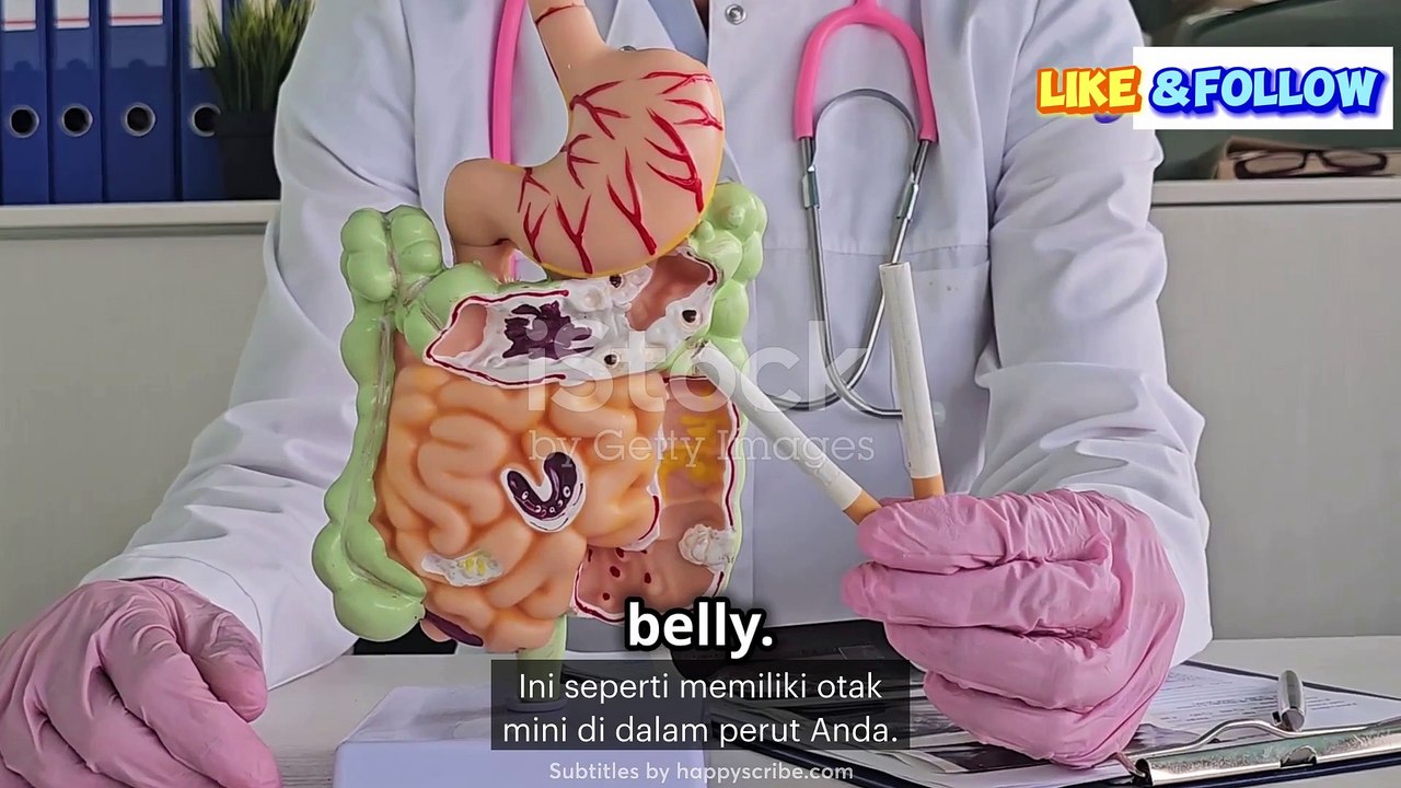 (Indonesia Sub) The Secret Behind the Gut: Why is it Called the 'Second Brain'?