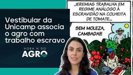 Educação retrata imagem errada do agro | HORA H DO AGRO