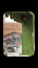 Kuch bhi pehle jaisa nahi raha ❤️‍ I guess this is what growing up is____urdu _urdupoetry _urduposts _urdushayri _peshawar(MP4)