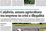 Rassegna stampa calabria 7 dicembre 2024
