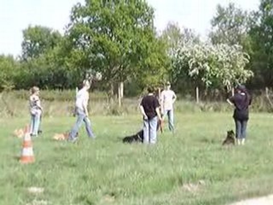 COMPARAISON DES DEUX GROUPES