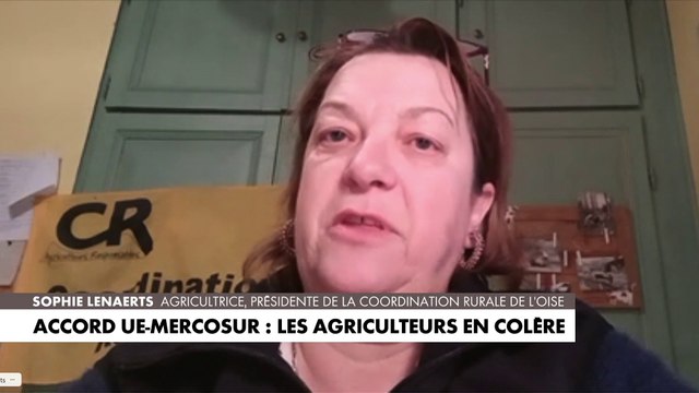 «On ne peut pas échanger un steak contre une voiture», dénonce Sophie Lenaerts
