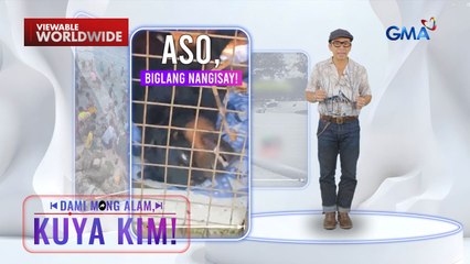 Aso, bigla na lang daw nagkaroon ng seizure? | Dami Mong Alam, Kuya Kim!