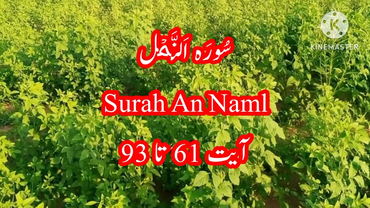 Surah An Naml - Ayat 61 to 93 - quran recitation - tilawat quran -