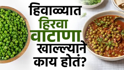 हिवाळ्यात हिरवा वाटाणा खाल्ल्याने काय होतं? Healthy Benefits Of Green Peas in Winter | Health