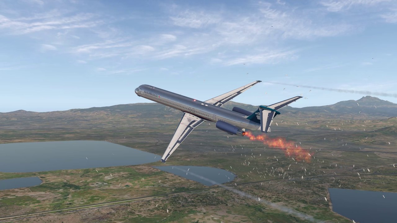 Bird Strike Tragedy: Plane Loses Control and Crashes After Takeoff at Vancouver Intl, Canada #aviation #fly #flying #takeoff #aviation #flyinglovers #aviationlovers