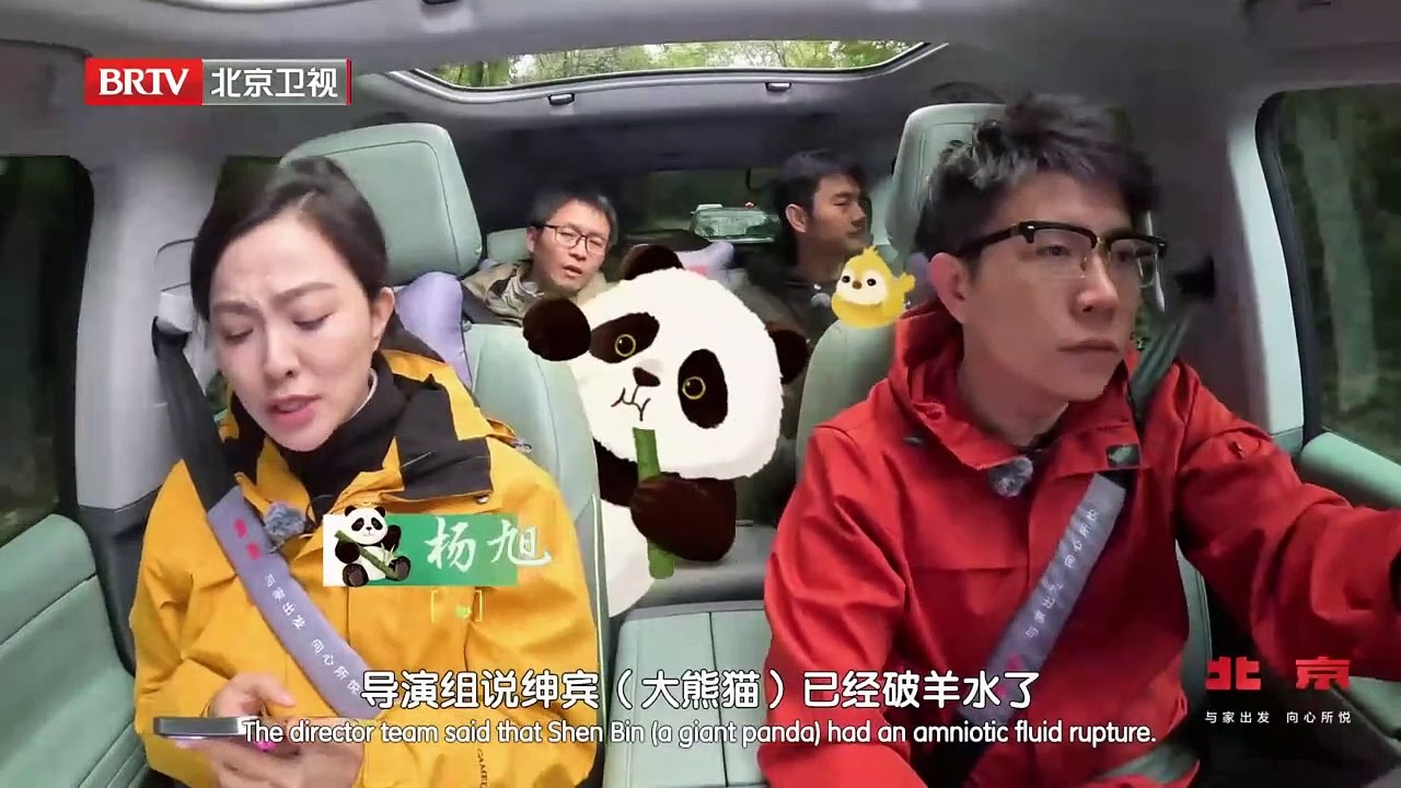 北京汽车熊猫奇遇记_北京时间